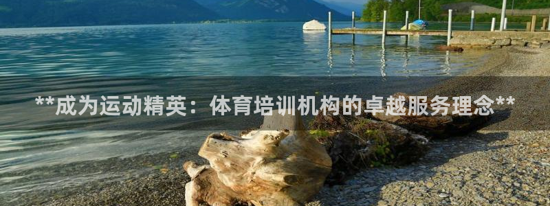 耀世集团做什么的：**成为运动精英：体育培训机构的卓