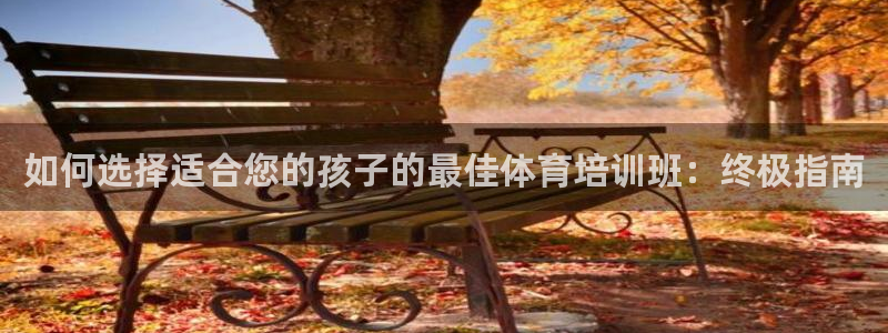 耀世集团：如何选择适合您的孩子的最佳体育培训班：终极