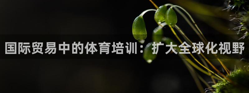 耀世天下是不是复仇的意思：国际贸易中的体育培训：扩大