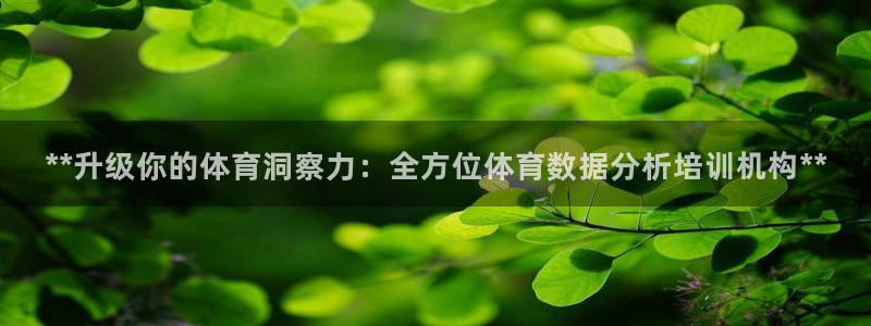耀世微光下载：**升级你的体育洞察力：全方位体育数据