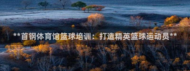 耀世平台列7O777：**首钢体育馆篮球培训：打造精