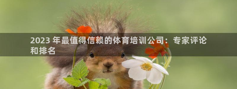 耀世娱乐是不是赚钱快：2023 年最值得信赖的体育培