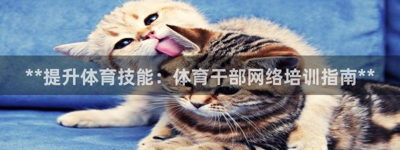 耀世集团视频：**提升体育技能：体育干部网络培训指南