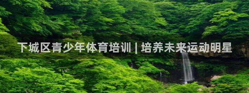 耀世盛典官网入口：下城区青少年体育培训 | 培养未来