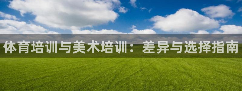 耀世登场什么意思：体育培训与美术培训：差异与选择指南