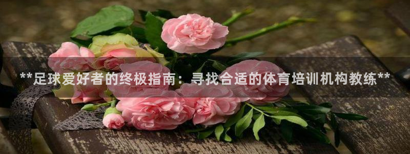 耀世娱乐挂机教程：**足球爱好者的终极指南：寻找合适