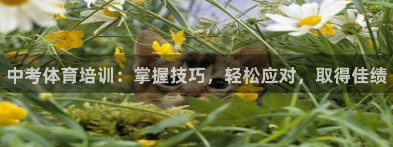 耀世娱乐提款多久到账：中考体育培训：掌握技巧，轻松应