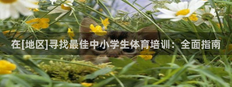 耀世平台注册网址是什么：在[地区]寻找最佳中小学生体
