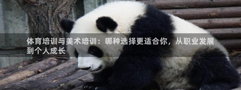 耀世平台注册最新地址查询：体育培训与美术培训：哪种选