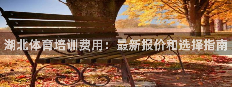哪吒s耀世版价格：湖北体育培训费用：最新报价和选择指