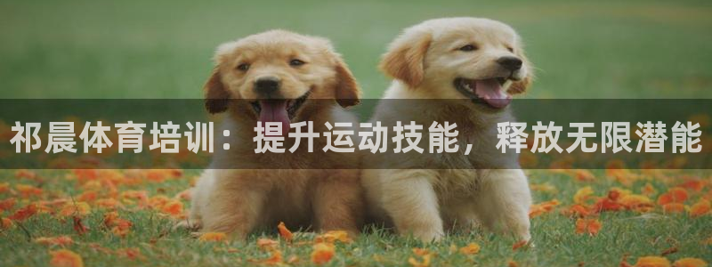 耀世娱乐app下载官网苹果：祁晨体育培训：提升运动技