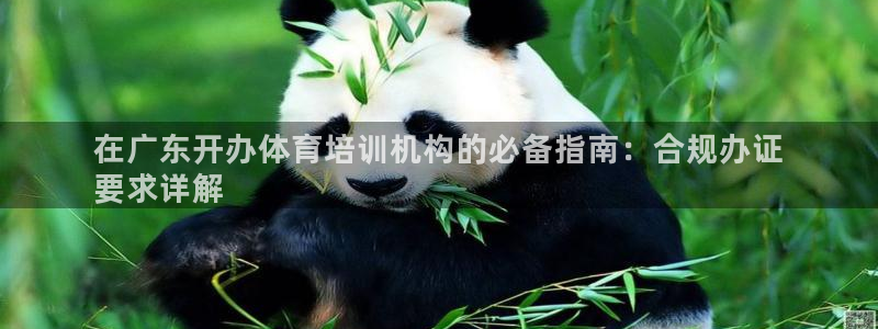 耀世平台最新注册地址在哪看：在广东开办体育培训机构的