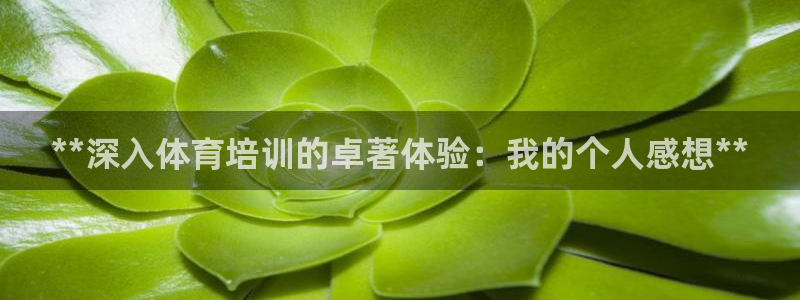 耀世娱乐app下载安装：**深入体育培训的卓著体验：