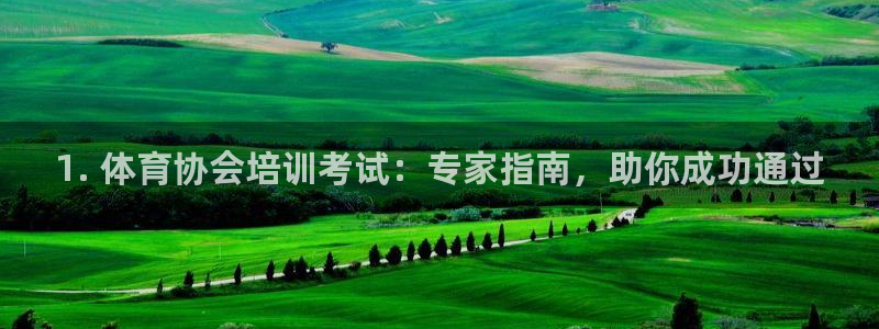 耀世燃气灶是哪个牌子：1. 体育协会培训考试：专家指