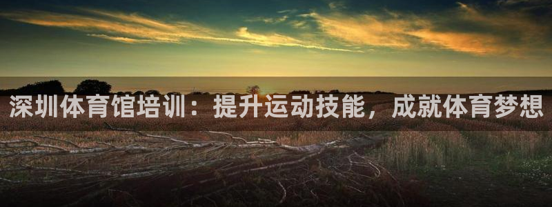 耀世娱乐老板是谁：深圳体育馆培训：提升运动技能，成就