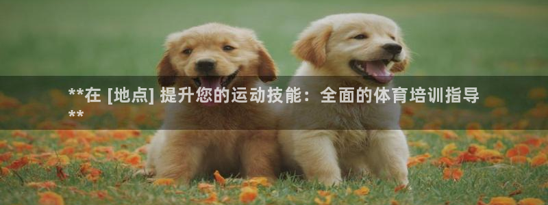 耀世集团是干嘛的企业啊