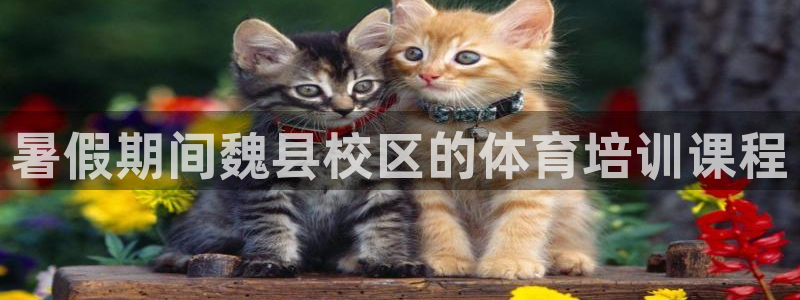 耀世登场之类的广告词：暑假期间魏县校区的体育培训课程