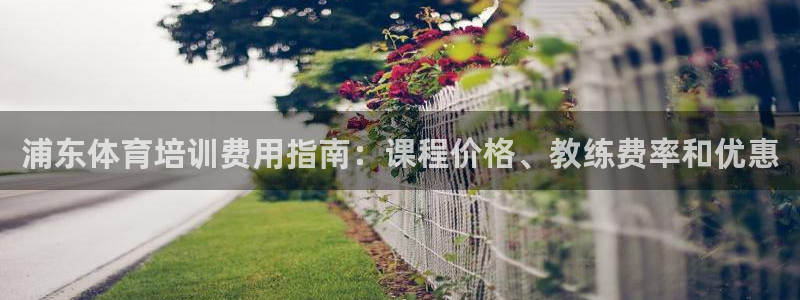 耀世娱乐返点多少钱：浦东体育培训费用指南：课程价格、