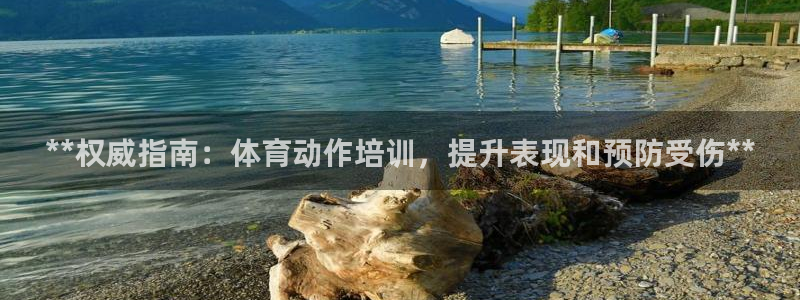 耀世平台注册开户：**权威指南：体育动作培训，提升表