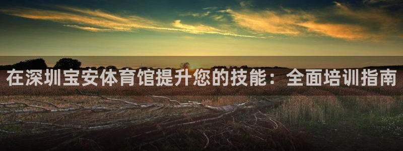 耀世平台找 5O6917 平台：在深圳宝安体育馆提升