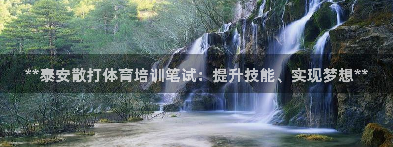 耀世平台的运营模式：**泰安散打体育培训笔试：提升技