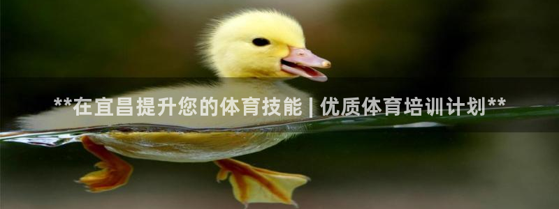 耀世天下的意思：**在宜昌提升您的体育技能 | 优质