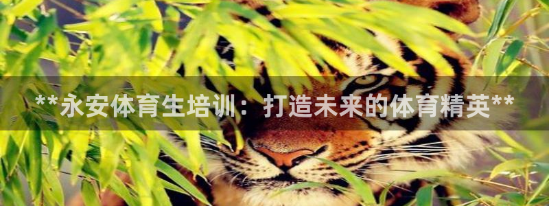 耀世娱乐官网网站：**永安体育生培训：打造未来的体育