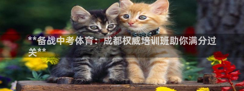 耀世平台注册网址是多少号：**备战中考体育：成都权威