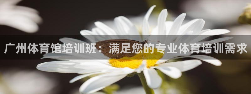 耀世娱乐骗局是真的吗：广州体育馆培训班：满足您的专业