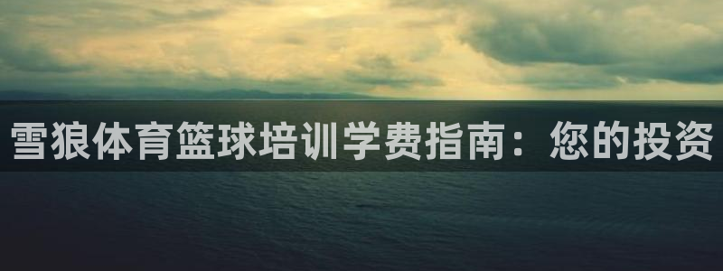 耀世平台开户流程是什么：雪狼体育篮球培训学费指南：您
