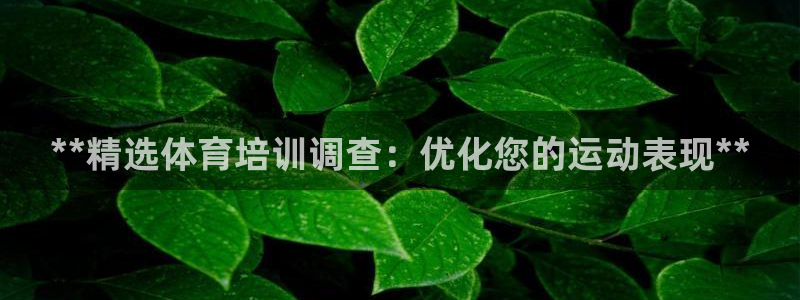 耀世平台代理注册登录不了：**精选体育培训调查：优化