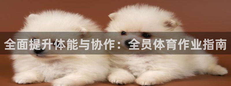 耀世娱乐怎么样：全面提升体能与协作：全员体育作业指南