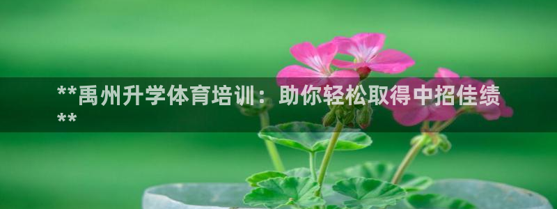 耀世平台哪个彩种是公平彩：**禹州升学体育培训：助你