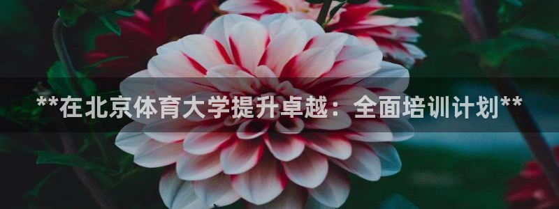 耀世娱乐是玛雅旗下的吗是真的吗：**在北京体育大学提