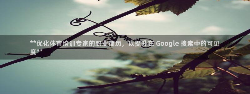 耀世娱乐怎么注册不了：**优化体育培训专家的职业简历