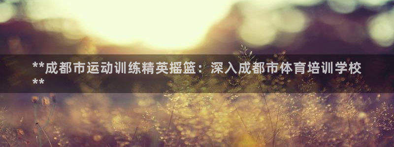耀世挑战第三关怎么过：**成都市运动训练精英摇篮：深