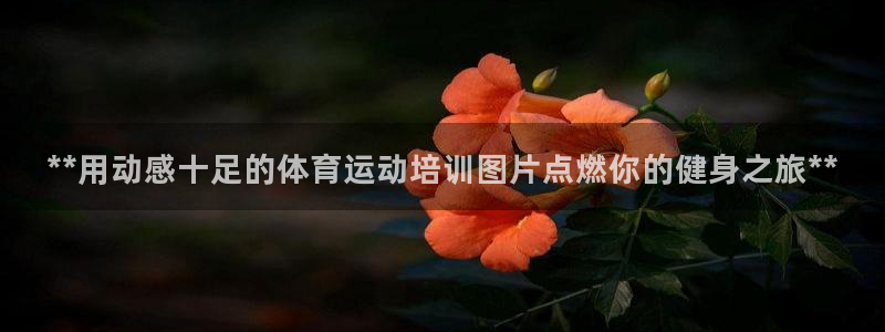 耀世娱乐中国总部地址：**用动感十足的体育运动培训图