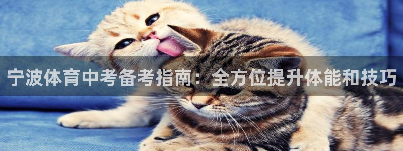 耀世娱乐网站：宁波体育中考备考指南：全方位提升体能和