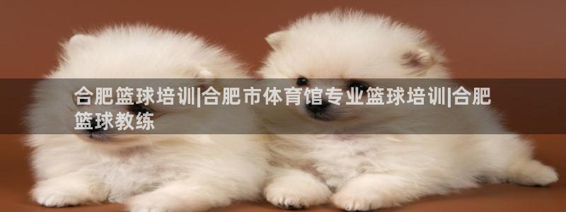 耀世平台最新注册地址是哪里的：合肥篮球培训|合肥市体