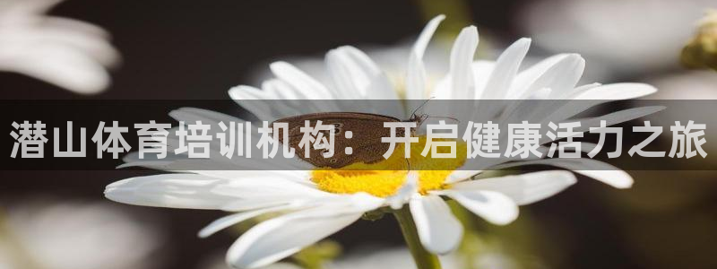 耀世娱乐登陆官网入口：潜山体育培训机构：开启健康活力