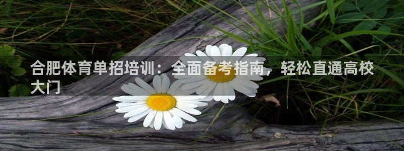 耀世金生产品介绍：合肥体育单招培训：全面备考指南，轻