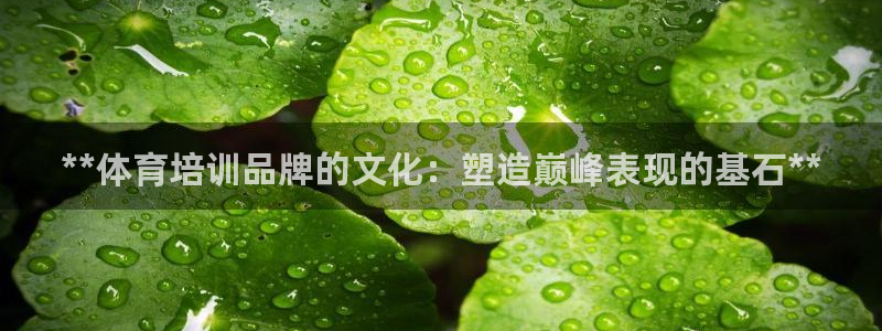 耀世平台面 411O31 平台：**体育培训品牌的文