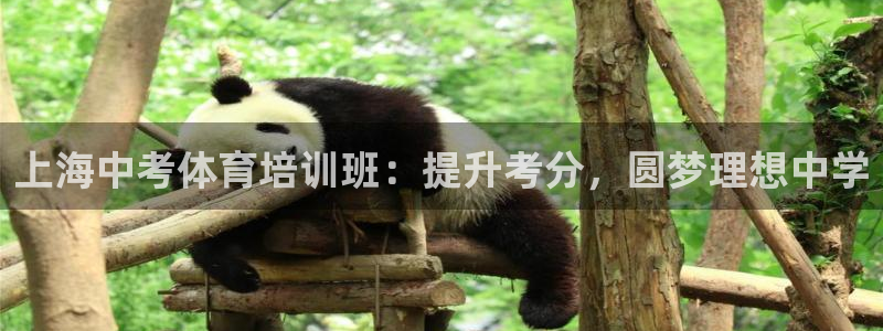 耀世平台列7O777：上海中考体育培训班：提升考分，