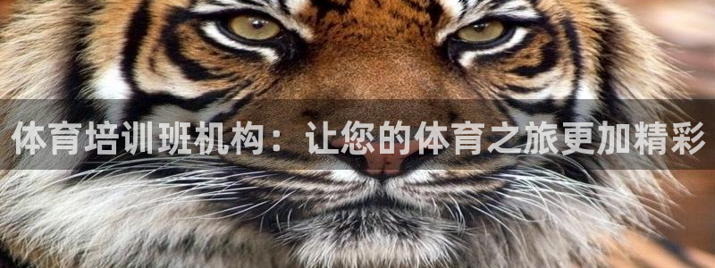 耀世挑战第三关怎么过：体育培训班机构：让您的体育之旅