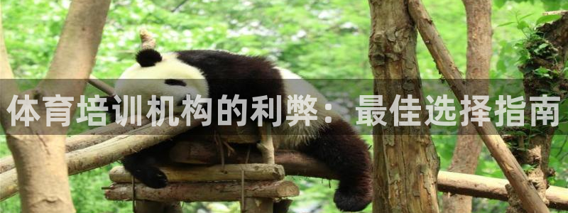 耀世娱乐是什么平台：体育培训机构的利弊：最佳选择指南