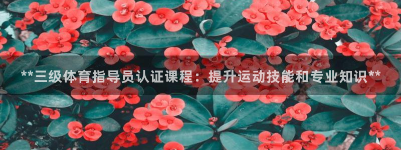 耀世开盘：**三级体育指导员认证课程：提升运动技能和