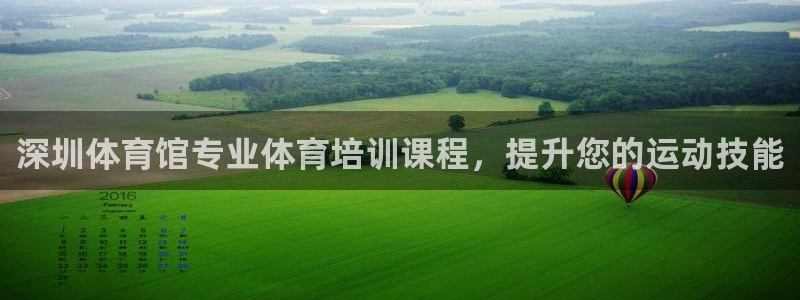 耀世集团王大聪图片：深圳体育馆专业体育培训课程，提升