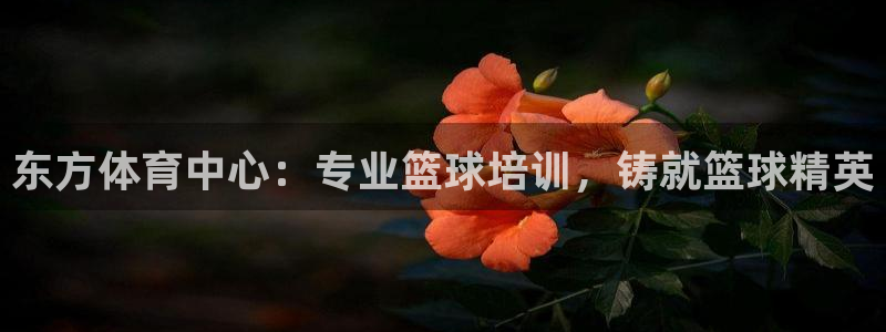 耀世娱乐下载最新版本安装苹果