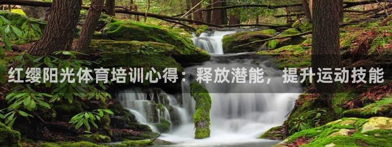 耀世娱乐合法吗：红缨阳光体育培训心得：释放潜能，提升
