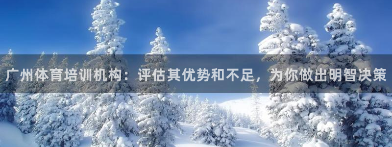 耀世娱乐含山设备：广州体育培训机构：评估其优势和不足